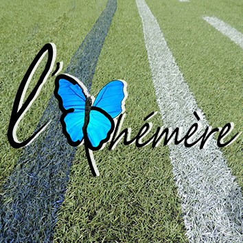 <!--